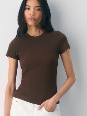 Aritzia Slim Crewneck Short-Sleeve Tee in Chocolate Brown